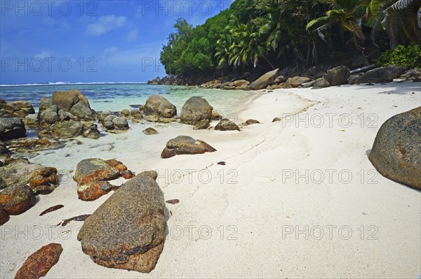 Dream beach Anse Baleine