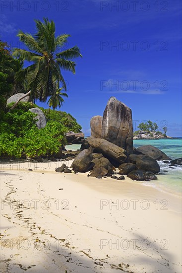 Coconut palms and granite rocks on the dream beach Anse Royal