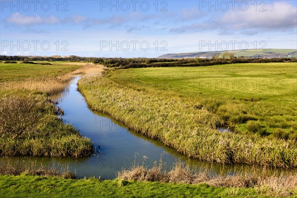 Flats Pill and Boundary Drain drainage ditches at Braunton Marsh