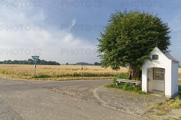 Little chapel with limetree