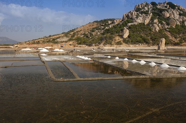 Salt fields for salt extraction