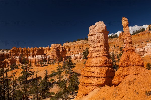 Navajo Loop Trail