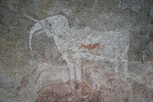 White elephant with red antelope