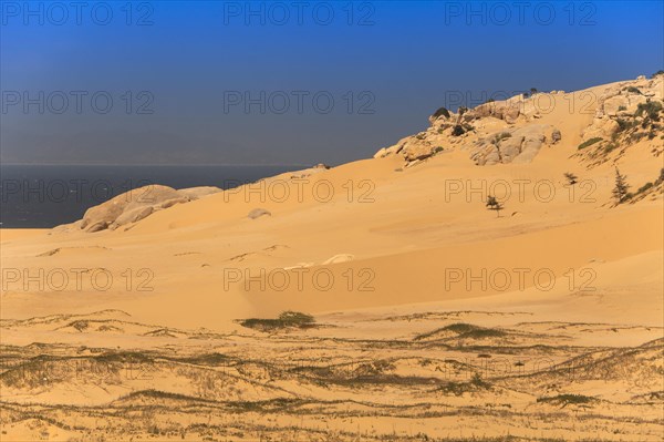 Sand dunes near Phan Rang