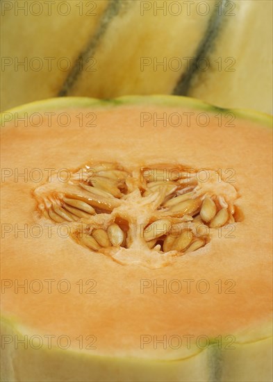 Cavaillon Melon