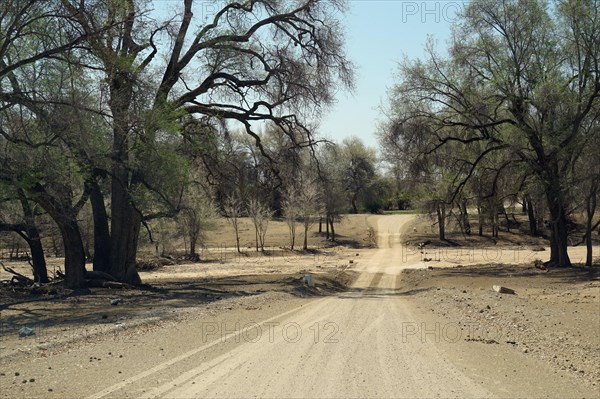 Ford through the Ugab