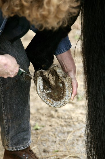 Woman with English thoroughbred horse