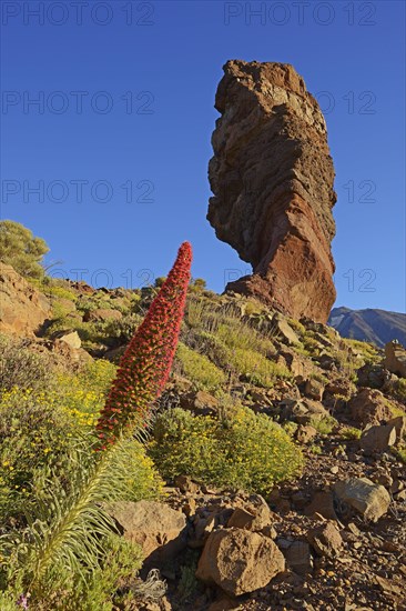 Roques de Garcia