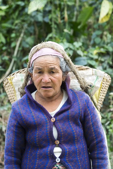 Old Nepalese woman carrying stones for road construction on her back