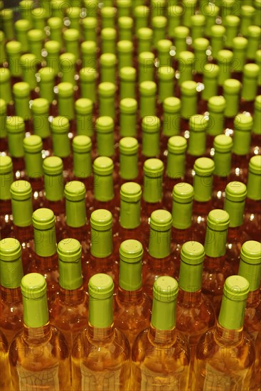 Fresh bottled white wine