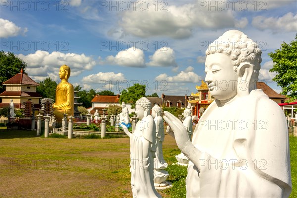 Gold Buddha