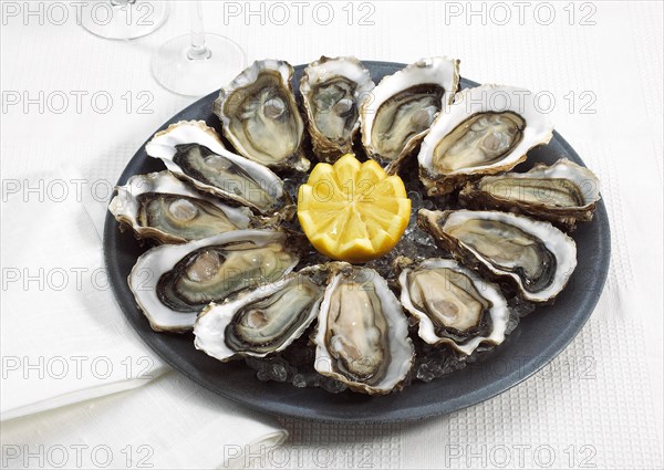 French oyster called Marennes d'Oleron