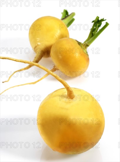 Golden Ball Turnips