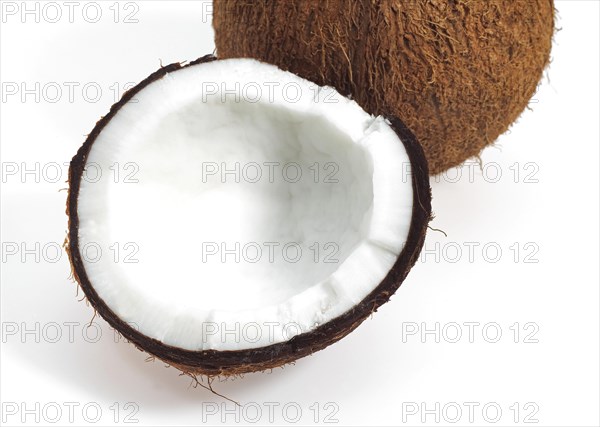 Coconut