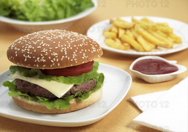Hamburger in a plate with french fries and ketchup