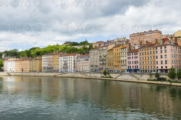 Bank of the Saone