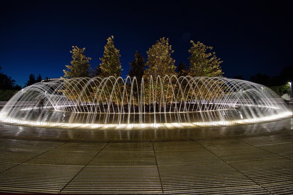 Fountain in a park Galitskogo