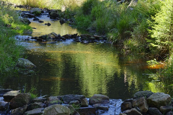 River Rote Weisseritz