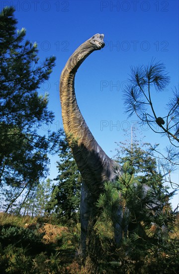Brachiosaurus