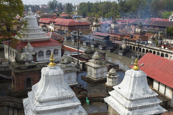 Pashupatinath Temple Complex