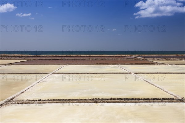 Salt fields for salt extraction