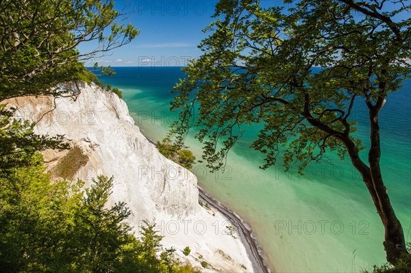Chalk cliffs