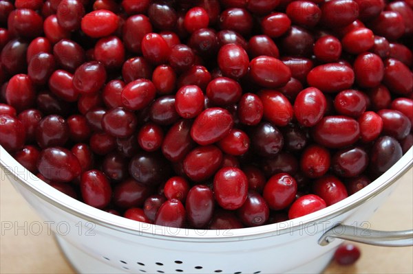 Cornelian cherries