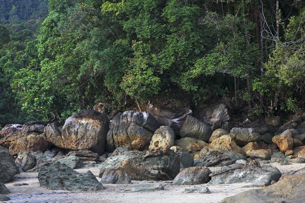 Beach with rocks and rainforest