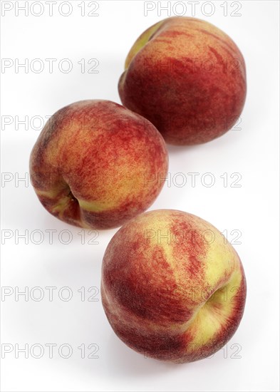 Whyte peach