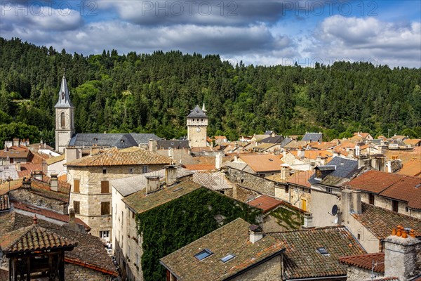 Le Malzieu Ville