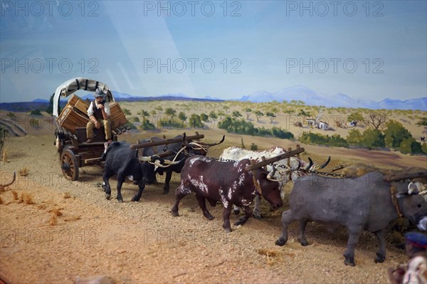 Model of an ox cart