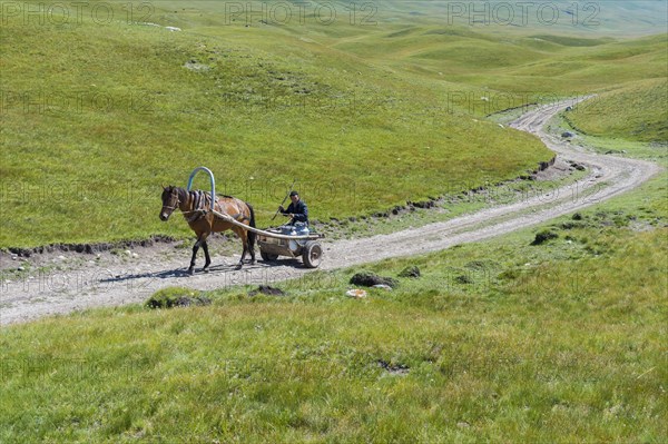 Kyrgyz man carrying milk tank on a horse cart