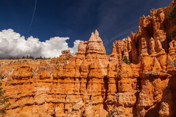 Navajo Loop Trail