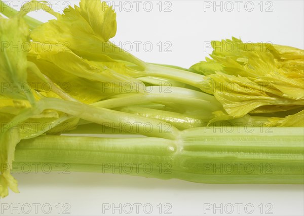 Celery