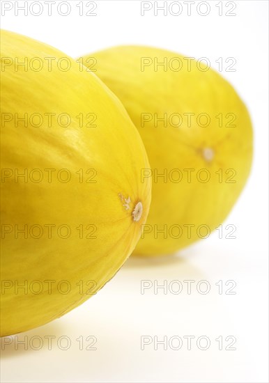 Yellow Spanish Melon