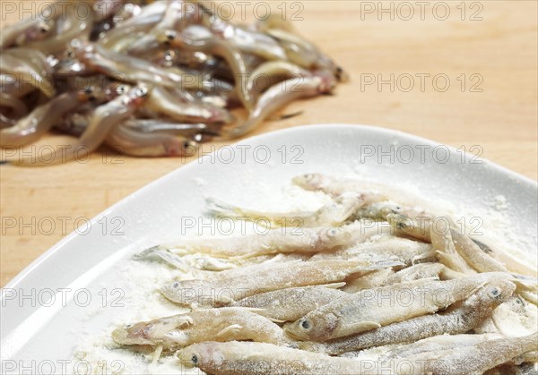 FRESH SMELTS