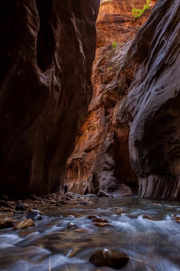 The Narrows