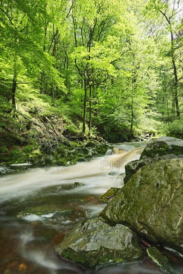 Hoegne stream