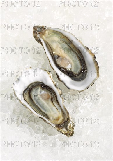 French Marennes d'Oleron oysters