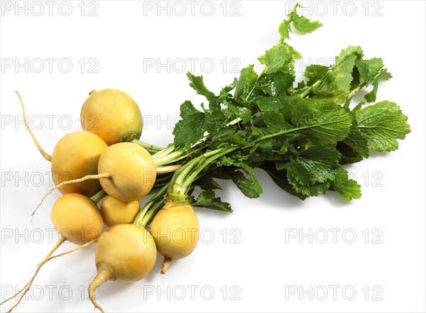 Golden Ball Turnip