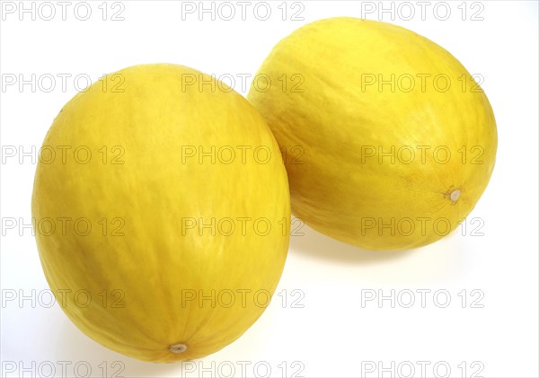 Yellow Spanish Melon