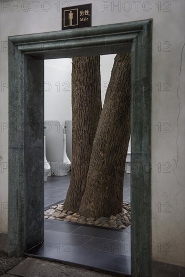 Men's toilet with trees