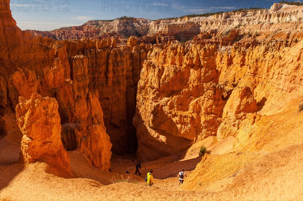 Navajo Loop Trail