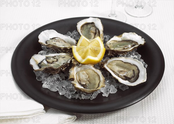 FRENCH OYSTER MARENNES D'OLERON ostrea edulis WITH YELLOW LEMON ON PLATE