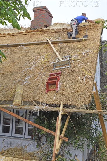 Old Frisian house