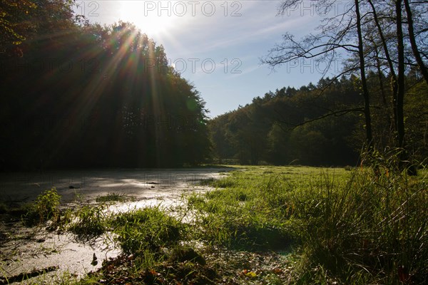 Jasmund National Park