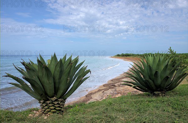 Caribbean Sea in Cuba