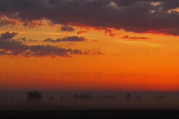 Morning atmosphere at Federsee