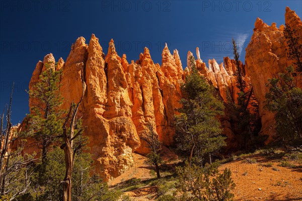 Navajo Loop Trail