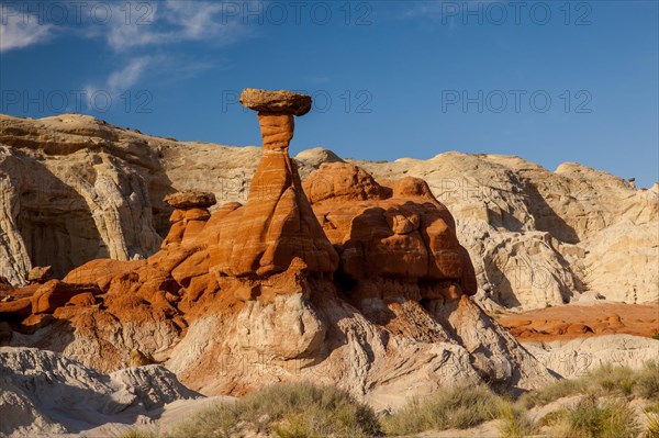 Toadstools